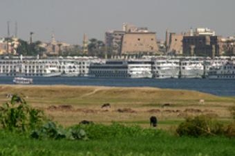 for sale : ground for build Westbank, Luxor