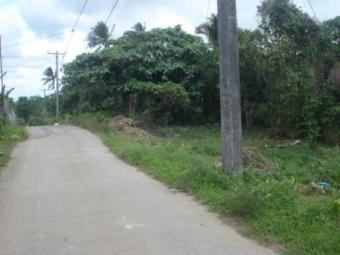 For sale! Cool Weather Property! Silang