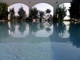 Amazing Farm for sale Al Shoona
