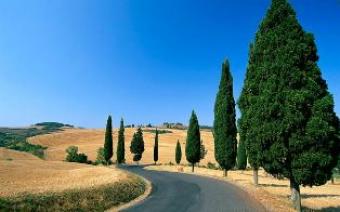 Farm House or Holidays Siena