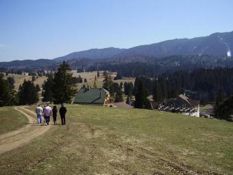Building plots in Poiana Brasov Brasov