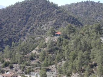 hilltop pine forest location Yerasa