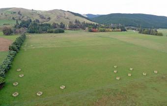 COUNTRY LIFESTYLE Marlborough NZ Blenheim