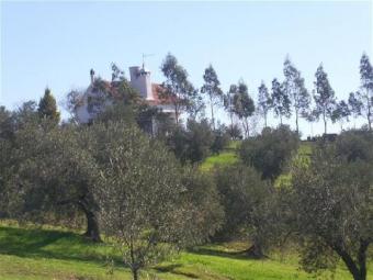 200031-spainmalaga-finca Casabermeja