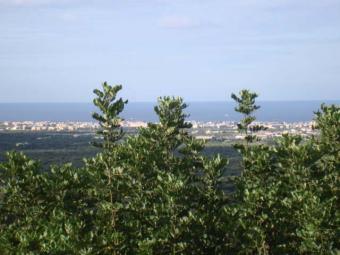 PLOT of Land in Puglia Monopoli