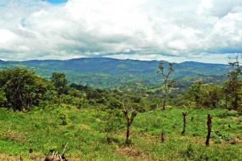Nice and large property San Ram�n, Alajuela