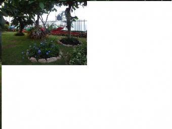Tropical estate for lease Salinas