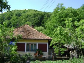 House with 4000sqm of land Geoagiu Bai