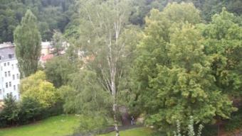 Three flats in Karlovy Vary spa Karlovy Vary