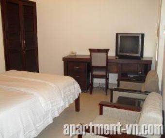 Serviced apartment,dist1, Studio Hcmc