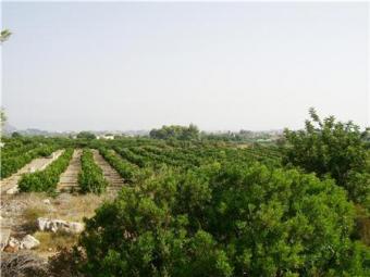 Lovely large building plot Pedreguer