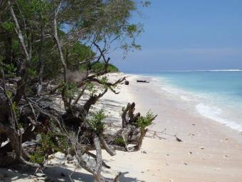 Beachfront Plot / Gili Trawangan Gili Trawangan