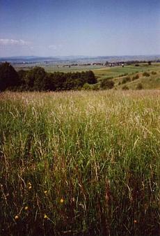 Beautiful mountain land, Poland Strachocina