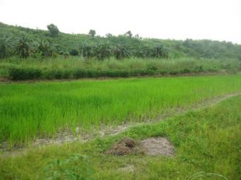 lot 4 sale Pampanga