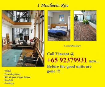 1 Moulmein Rise for sale Singapore