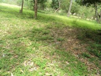 890 acre plot for sale Mombasa