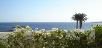 APARTMENTS FOR SALE. HOT OFFER. Sharm El Sheikh