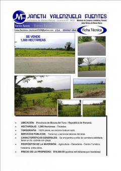 Plot of land Bocas Town Bocas Town