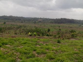 Plot of land Buea Buea