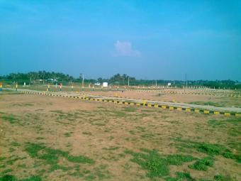 Plot of land Trichy Trichy