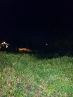 8 Acres of land Cumuto Sangre Grande Little Coora Road