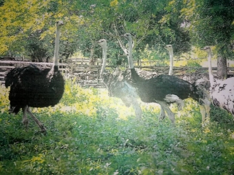 Development dar es salaam Dar Es Salaam