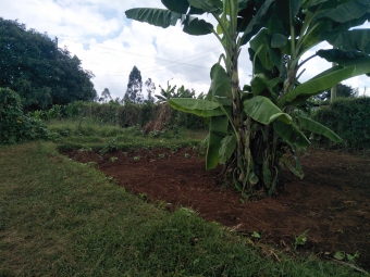 Plot of land Nairobi Nairobi