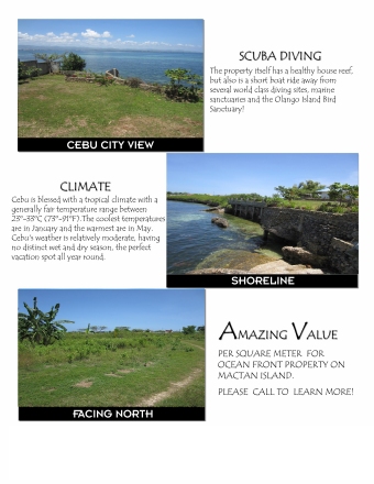 Plot of land Lapu-Lapu City Lapu Lapu City