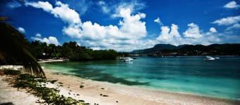 Business Yucat�n Yucat�n