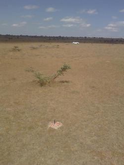 Plot of land isinya Isinya