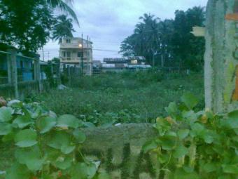 Plot of land Balayan Balayan