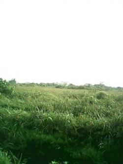 Plot of land Ibeju Ibeju