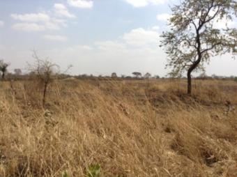 Plot of land Lusaka Lusaka