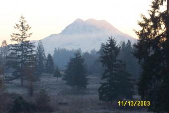 20 Acre Horse Ranch for sale (Ne Eatonville