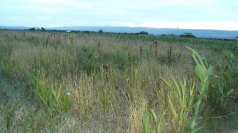 1 Acre of land in Nakuru Nakuru