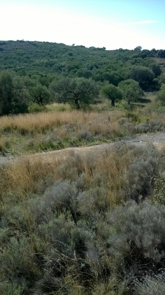 Plot of land Asopos Asopos