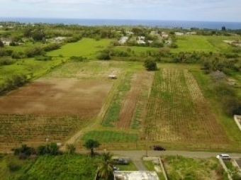 Plot of land Isabela Isabela
