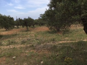 Plot of land Chania Chania