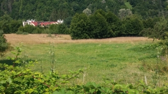 Plot of land Ribaritsa Ribaritsa
