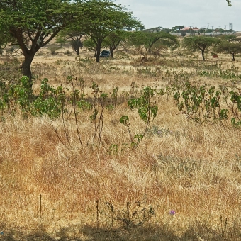 Plot of land Kajiado Kajiado