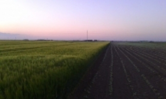 Plot of land novi sad Novi Sad
