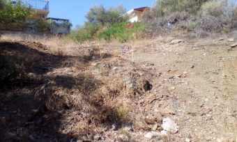 Plot of land Salamis Salamis
