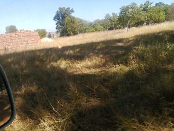 Plot of land Harare Harare, Glen Norah