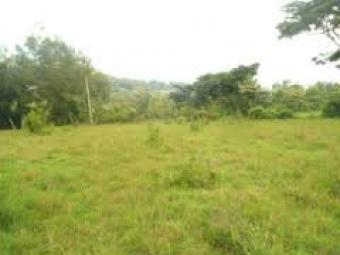 Plot of land Karen Karen-nairobi