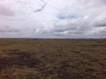 Plot of land Kajiado Kajiado