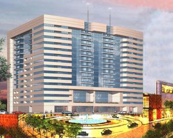 Delhi 5* Hotel Gives 29% Rental. Delhi