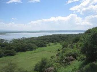 Plot of land NAKURU Nakuru
