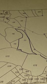 Plot of land Paphos Paphos