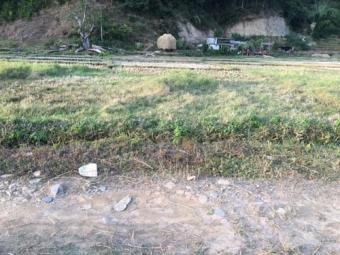 Plot of land Pokhara, Begnastal Pokhara, Begnastal