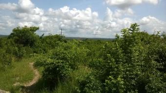 Plot of land Kwale Kwale